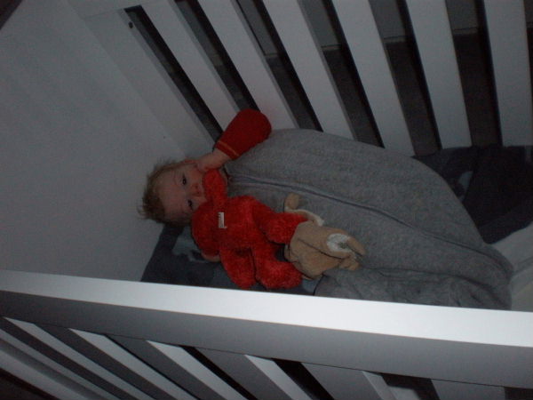 Image 10 of 68  -  40 kB